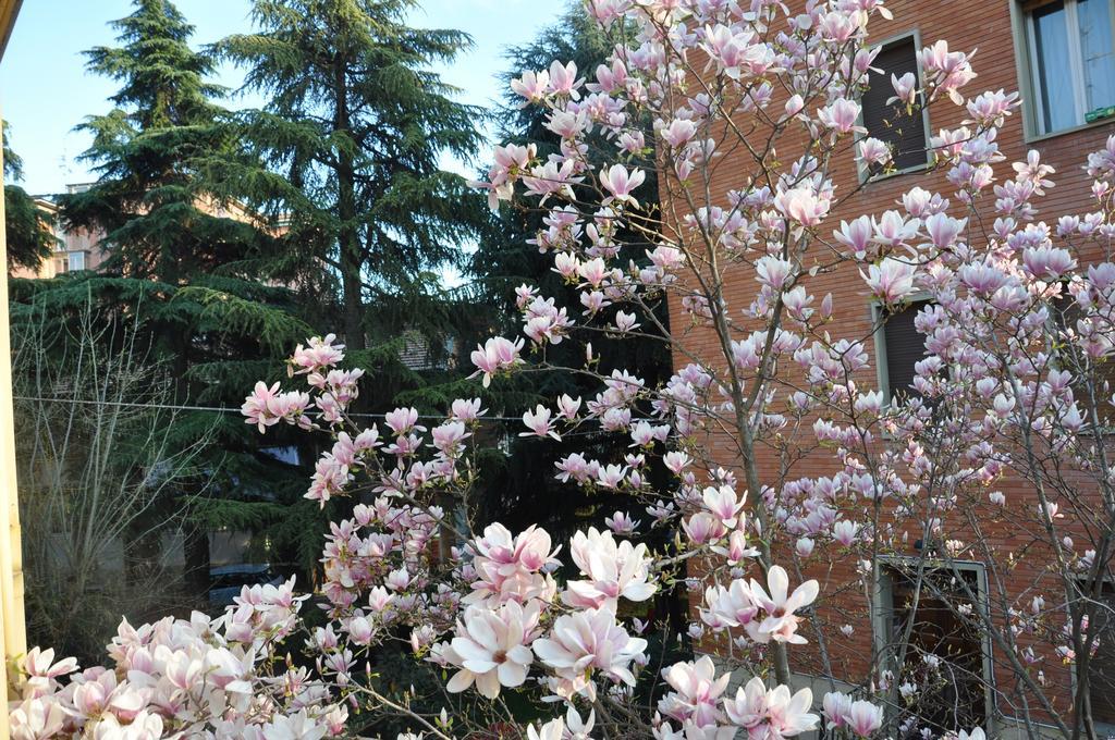 B&B Villa Marsa Bologna Kültér fotó